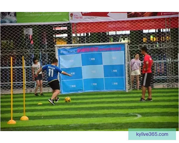 2026世界杯全球足球盛宴赛程看点球队实力与冠军之路全解析